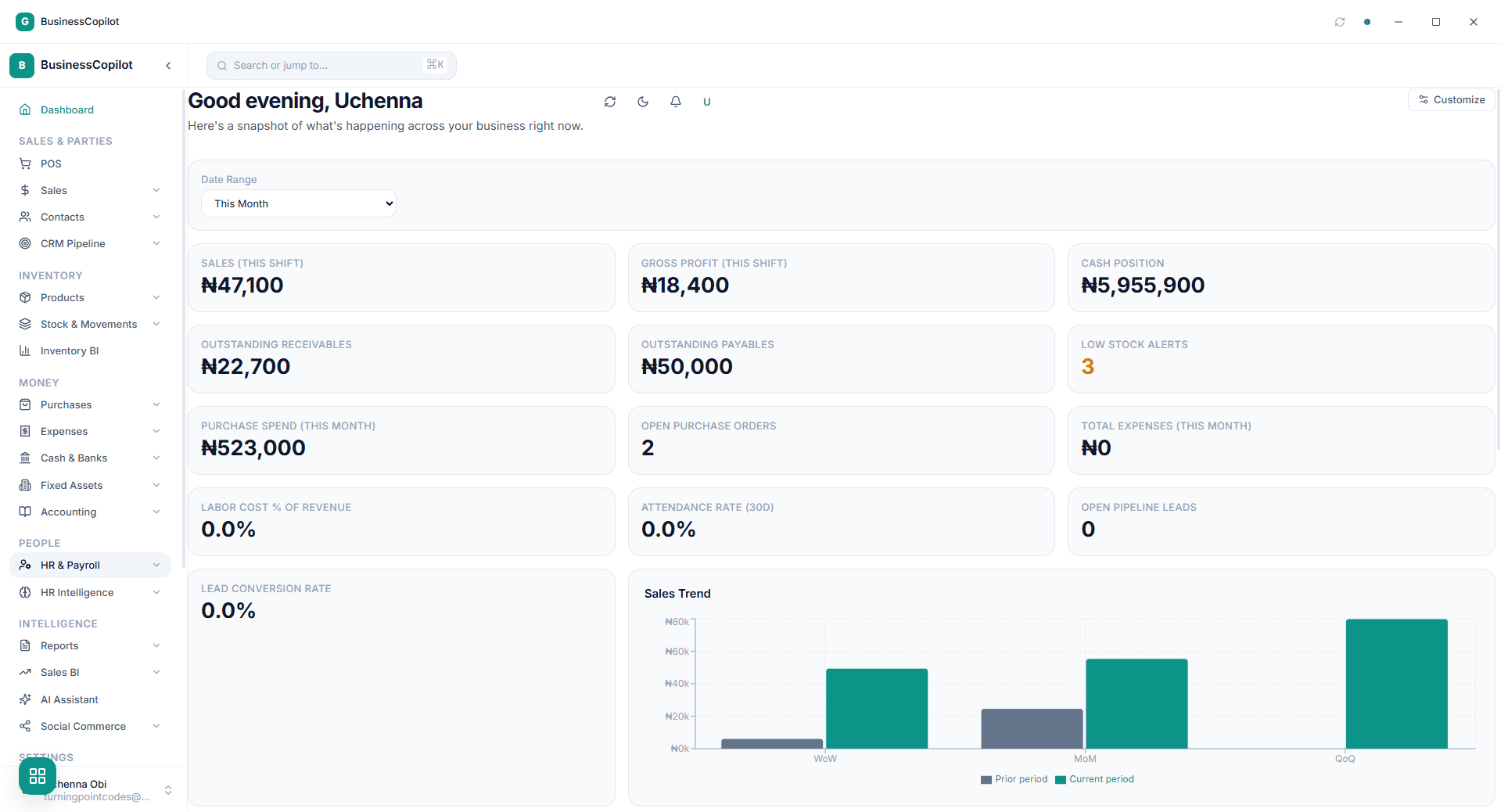 BusinessCopilot product screenshot