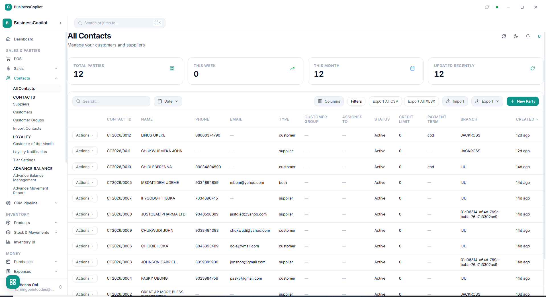 BusinessCopilot screenshot