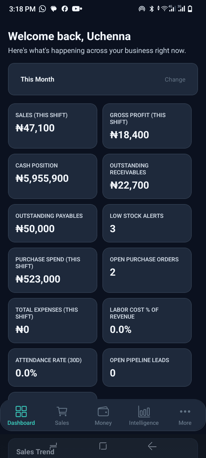 BusinessCopilot mobile screenshot