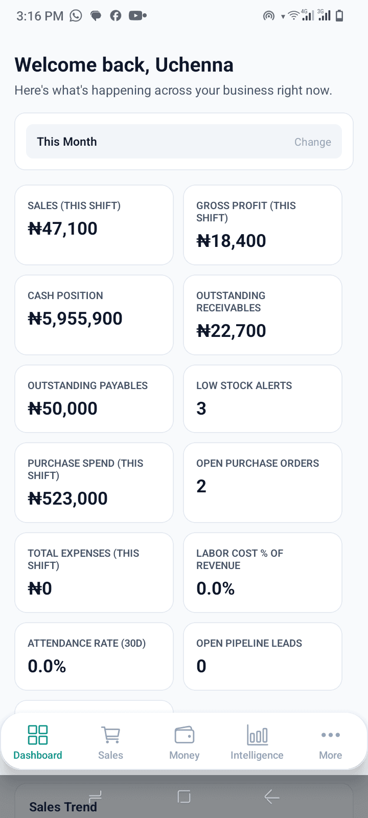 BusinessCopilot mobile screenshot